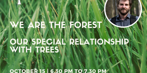 We are the forest - La nostra speciale relazione con gli alberi