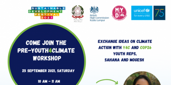 Pre-Youth4Climate workshop